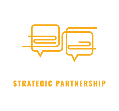 strategic partnership v3